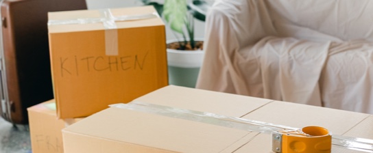 graphic packers movers